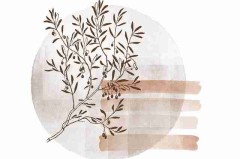 糖心tv高能事件TOP10，商业模式上分秘籍