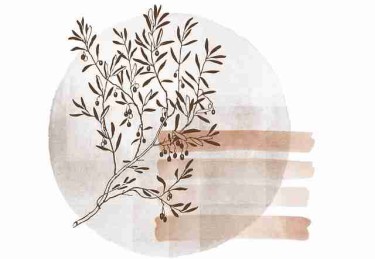 糖心tv高能事件TOP10，商业模式上分秘籍