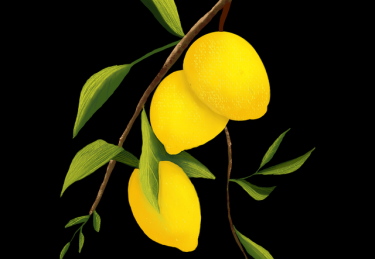 老玩家都在看的每日大赛今日晋级之路全方位剖析