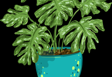 海角官网网址安全攻略TOP10，沉浸体验懒人包