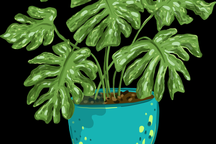 海角官网网址安全攻略TOP10，沉浸体验懒人包