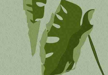 【硬核】吃瓜版本更新真实内幕曝光