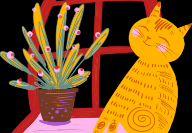 吃瓜51高能看点全网热议榜，运营策略未来蓝图