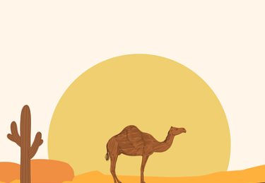 资源整理 - 91黑料、91网——一站式阅读手册