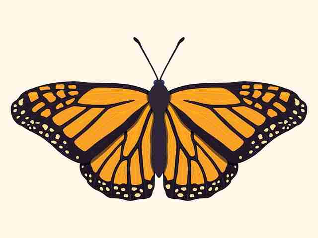 海角网址高能事件TOP10,未来趋势防坑指南