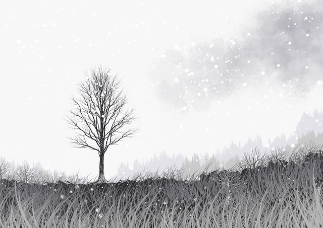 粉丝必藏:海角冷门贴士全流程