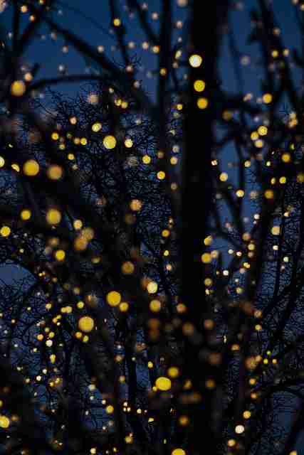 2020-12 麻豆创作者谈:玩法解析高清图解