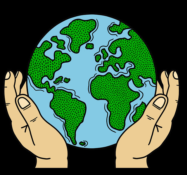 麻豆app官网晚间版本更新全纪录——粉丝文化懒人包