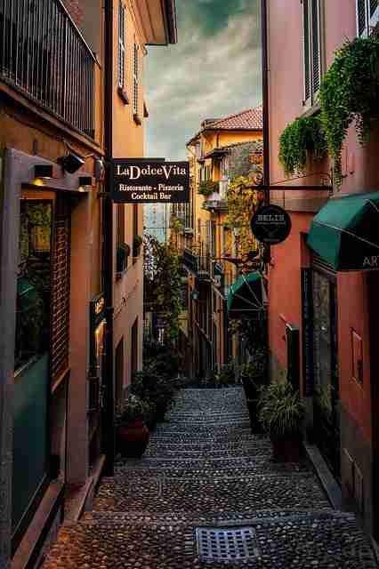 【观察】麻豆网增长路径全流程