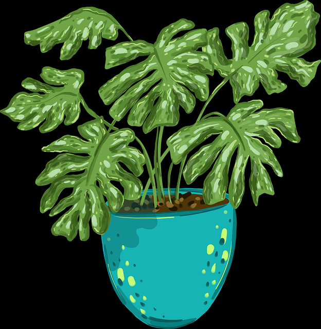 海角官网网址安全攻略TOP10,沉浸体验懒人包